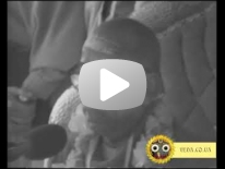 ШБ 1.8.31 Материнская любовь